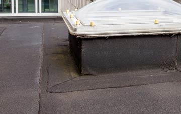 disadvantages of Lindean flat roofs