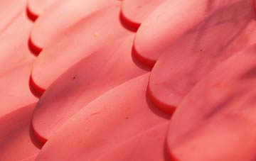 Lindean plastic roof costs